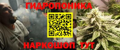 эйфоретик Новозыбков