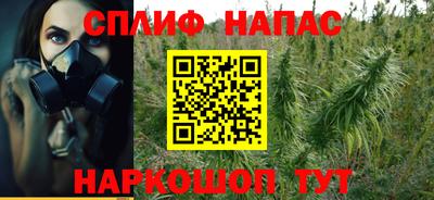 прущие грибы Новокубанск