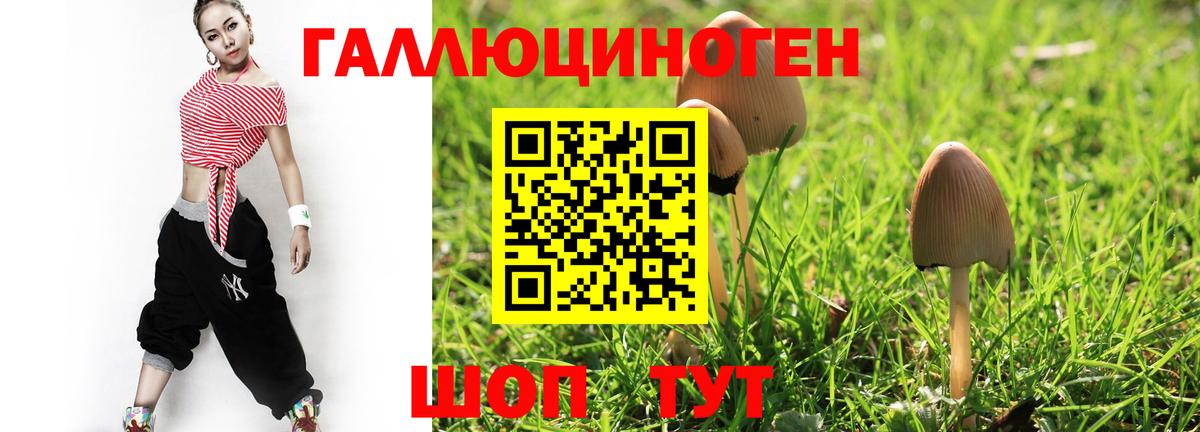 Псилоцибиновые грибы ЛСД Сосновоборск