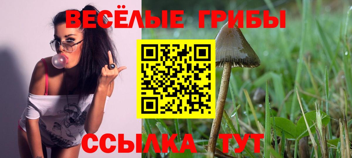Псилоцибиновые грибы Psilocybine cubensis  Вход с VPN  Сосновоборск 